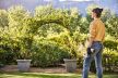 Stihl ASA 20 Cordless Secatures