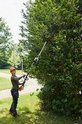 Stihl HLA 135-Powerful Battery Powered Long Reach Hedge Trimmer