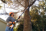 Stihl HTA 50 Cordless Pole Pruner - AK Battery System