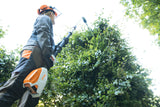 Stihl HLA 86 Telescopic cordless long-reach hedge trimmer