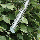 Stihl HSA 100 Prefessional Battery Powered Hedge Trimmer (AP Range)