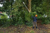 Hire Pole Pruner-Battery Powered & Telescopic