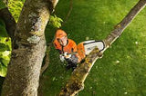 Hire Pole Pruner-Battery Powered & Telescopic
