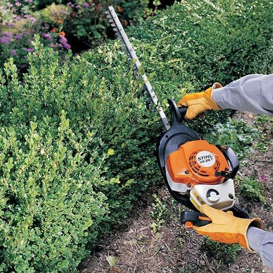 Hire a Petrol Powered  Hedge Trimmer